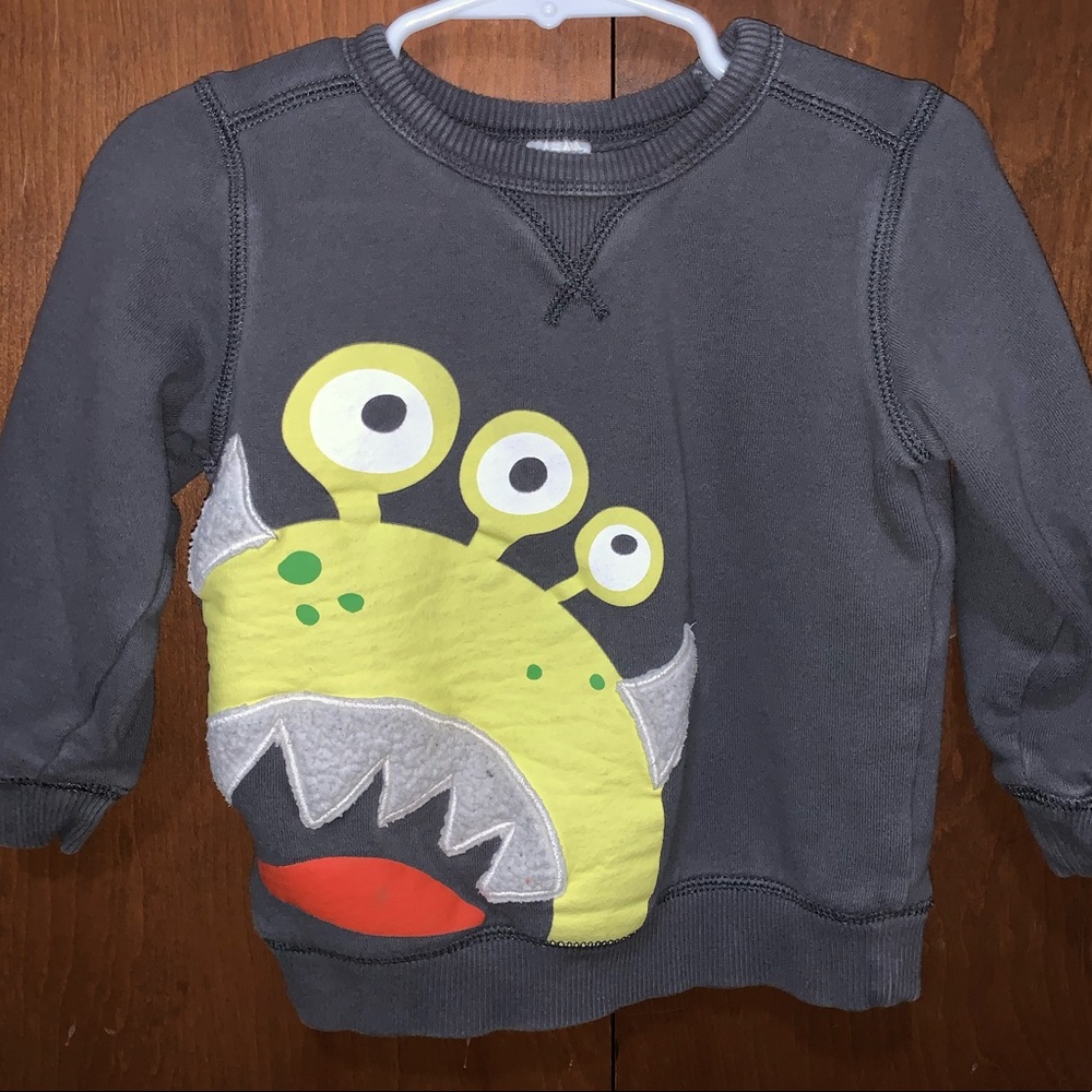 Toddler sweatshirt.